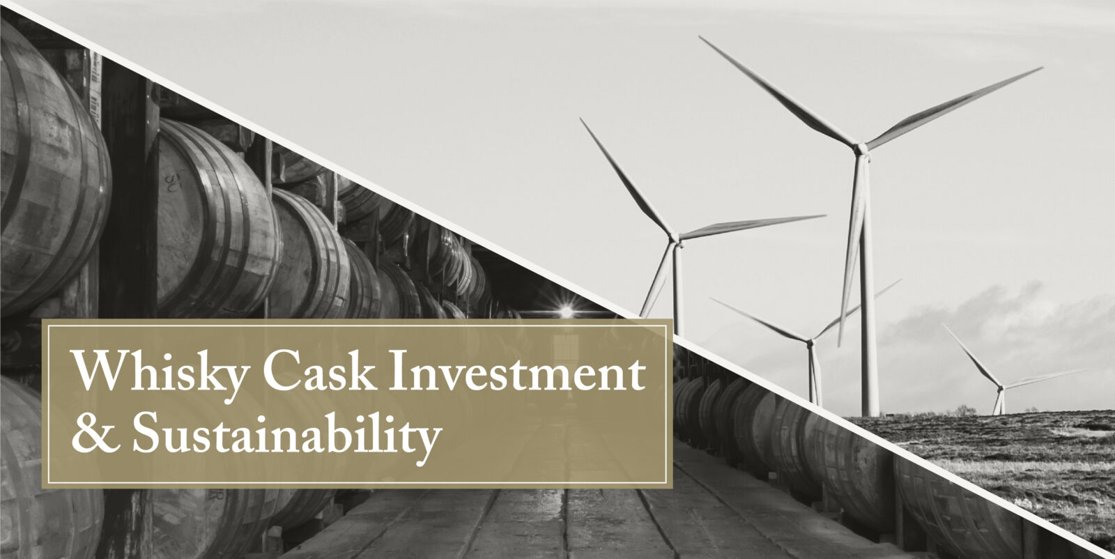 Whisky casks & sustainability